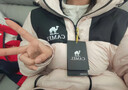骆驼（CAMEL）户外羽绒服冬季加厚保暖男女同款防风防泼水石墨烯面包服外套 实拍图