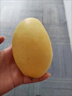 京鲜生新鲜玉芒  净重3斤 单果300g＋ 新鲜水果 源头直发包邮 实拍图