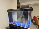 森森（SUNSUN）大型鱼缸底过滤水族箱客厅家用落地玻璃生态金鱼缸 超白隔断屏风款 1米长35cm宽（黑白可选） 实拍图
