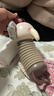 爸爸妈妈婴儿玩具0-1岁6-9-18个月宝宝婴幼儿早教玩具儿童玩具手风琴音乐 实拍图