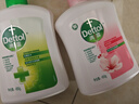 滴露（Dettol）洗手液抑菌滋润450g*2+松木450g*2儿童家庭补充装消毒温和护手 实拍图
