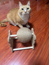 HELLOJOY逗猫咪玩具自嗨解闷猫抓板幼猫爪板小猫抓球耐抓不掉屑耐磨猫爬架 实拍图
