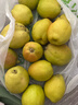 京鲜生 新疆特级库尔勒香梨 净重5斤单果120g以上 生鲜水果 实拍图