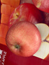 京鲜生 山东栖霞红富士苹果精品12粒 单果190g-240g  水果礼盒 实拍图