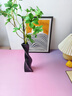 京东鲜花简约北欧陶瓷花瓶摆件客厅插花玄关电视柜绿植轻奢高级感小众装饰 实拍图