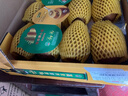 佳沛（zespri）新西兰 阳光金奇异果12粒礼盒特大果单果约122-146g 猕猴桃 水果 实拍图