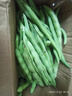 云南高山新鲜四季豆圆青豆农家蔬菜新鲜现摘蔬菜生鲜 带箱2斤 实拍图