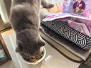 麦富迪猫粮 超肉粒冻干双拼成猫粮美毛护肠胃 三文鱼2kg 实拍图