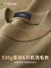 杉杉（FIRS）【410G重磅加厚】秋冬男毛衣可机洗保暖柔顺双层领休闲针织衫上衣 实拍图