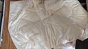 艾薇幼儿园儿童被子 春秋被白色被芯2.3斤 120*150cm【不含被套】 实拍图
