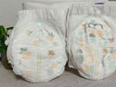好奇（Huggies）小森林拉拉裤XXL30片(15kg以上)尿不湿心钻【透氧顶配更低敏】 实拍图