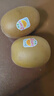 佳沛（zespri）新西兰  阳光金奇异果25-27粒原箱特大果单果约122-146g  猕猴桃 实拍图