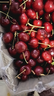 九牧王男裤休闲裤男【防皱 易打理】春夏季修身弹力直筒长裤子男 实拍图