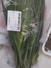 安心韭菜250g 实拍图