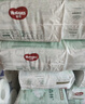 好奇（Huggies）小森林拉拉裤XXL30片(15kg以上)尿不湿心钻【透氧顶配更低敏】 实拍图
