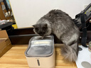 Panasonic松下宠物抑菌饮水机猫咪饮水机自动循环 猫咪喂水机【小笑脸】 实拍图