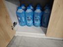 蓝星汽车玻璃水防冻-40℃2L8瓶装冬季玻璃清洗剂雨刮精去油膜 实拍图
