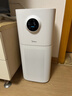 美的（Midea）【母婴级】空气净化器鼻炎家用除甲醛除烟味异味过敏原空气净化机森林家L1 Lite国家补贴 实拍图