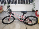 途锐达超轻儿童自行车6-8-12岁女孩男孩脚踏车小孩学生单车20寸蜂鸟粉 实拍图