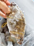 梭子蟹鲜活特大野生舟山大螃蟹海鲜新鲜冷冻海蟹水产飞蟹白蟹顺丰 3-5两/只 【净重3斤舟山梭子蟹】 实拍图