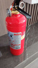 援邦（YUANBANG）干粉灭火器 汽车载灭火器1kg 车用年检灭火器 手提式干粉1公斤 实拍图