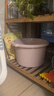 五月花泡脚桶加深24cm*1只装洗脚桶家用足浴桶洗脚泡脚盆塑料盆水桶 实拍图