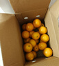 京鲜生 云南哀牢山冰糖橙/橙子 5斤装  单果100-130g 生鲜水果年货礼盒 实拍图