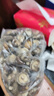 金钱菇干货特级小香菇珍珠菇煲汤冬菇菌菇香菇 金钱菇500g 实拍图