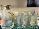 格娜斯（CRISTALGLASS）玻璃杯水杯家用套装泡茶杯喝水杯子耐高温轻奢高颜值锤纹凉水壶 实拍图