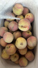 山东冬桃脆甜毛桃蜜桃雪桃水果冬桃桃子脆甜多汁新鲜冬桃-沐真 带箱9斤 实拍图