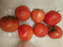 京鲜生 山东海阳普罗旺斯西红柿 净重3斤 单果125g起 沙瓢番茄 源头直发 实拍图