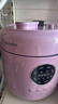 大宇（DAEWOO） 电压力锅家用微压焖煮升级小型智能定时多功能0涂层珐琅内胆一键开盖全自动压力锅电饭煲YLG07 紫色 5L （2025年新款）YLG07 实拍图