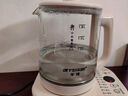 半球（PESKOE）养生壶 煮茶器 多功能烧水壶 智能恒温电热水壶 电水壶煮茶壶 多段保温迷你玻璃花茶壶 基础款 2L 实拍图
