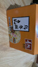 寿桃日式乌冬面方便面泡面非油炸速食拌面粗面（12包装）配XO酱2460g 实拍图