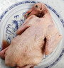 硒全食美富硒老鸽 净重400g/只 冷冻 供港鸽子生鲜冷链 煲汤卤煮年货送礼 实拍图