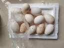 耕果妙新鲜大鹅蛋12枚净重2.4斤散养新鲜鹅蛋100-130g/枚 源头直发包邮 实拍图