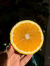 京觅江西赣南会昌桔柚9斤黄金贡柚 净重甜橘子单果70mm+水果源头直发 实拍图