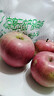 密水农家新鲜采摘国光小苹果 山区自种苹果 酸甜 国光苹果4斤 实拍图