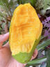 京鲜生新鲜玉芒  净重3斤 单果300g＋ 新鲜水果 源头直发包邮 实拍图
