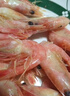 美加佳熟冻北极甜虾腹籽净重3斤 90/120规格   熟冻甜虾 海鲜水产 实拍图