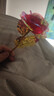 七彩炫光玫瑰花星空彩金浪漫情人节七夕送老婆女友生日礼物金箔 彩金红玫瑰花 【送它一朵永不凋零的爱意玫瑰】 实拍图