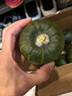 鸢语 山东惠和一号贝贝小南瓜2.5kg 板栗味 健康轻食 粉糯香甜 实拍图