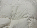 京东京造100%天然新疆棉花被 纯棉被芯双人被子 秋冬被7.4斤2.2x2.4m 实拍图