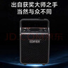 漫步者（EDIFIER）PP205无线版手提便携蓝牙音箱 户外K歌音响 广场舞扩音器 暮云灰 实拍图