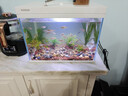 森森（SUNSUN）超白鱼缸一体缸自循环客厅桌面小型家用水族箱HEJ-380 实拍图