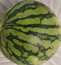 京鲜生 麒麟无籽西瓜 1粒装 单果5-7斤 生鲜水果 实拍图