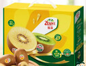 佳沛（zespri）新西兰 阳光金奇异果12粒礼盒特大果单果约122-146g 猕猴桃 水果 实拍图