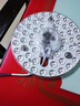 雷士（NVC）led灯盘吸顶灯替换灯芯灯板圆形磁吸模组灯管灯条24瓦白光 实拍图