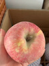 正宗新疆阿克苏冰糖心苹果新鲜水果脆甜礼盒整箱红富士雪山丑苹果 5斤 优质中果（75-80） 实拍图