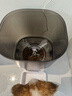 PAPIFEED猫咪自动喂食器宠物定时定量投食机猫粮狗粮碗wifi远程智能投粮 实拍图